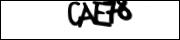 CAPTCHA